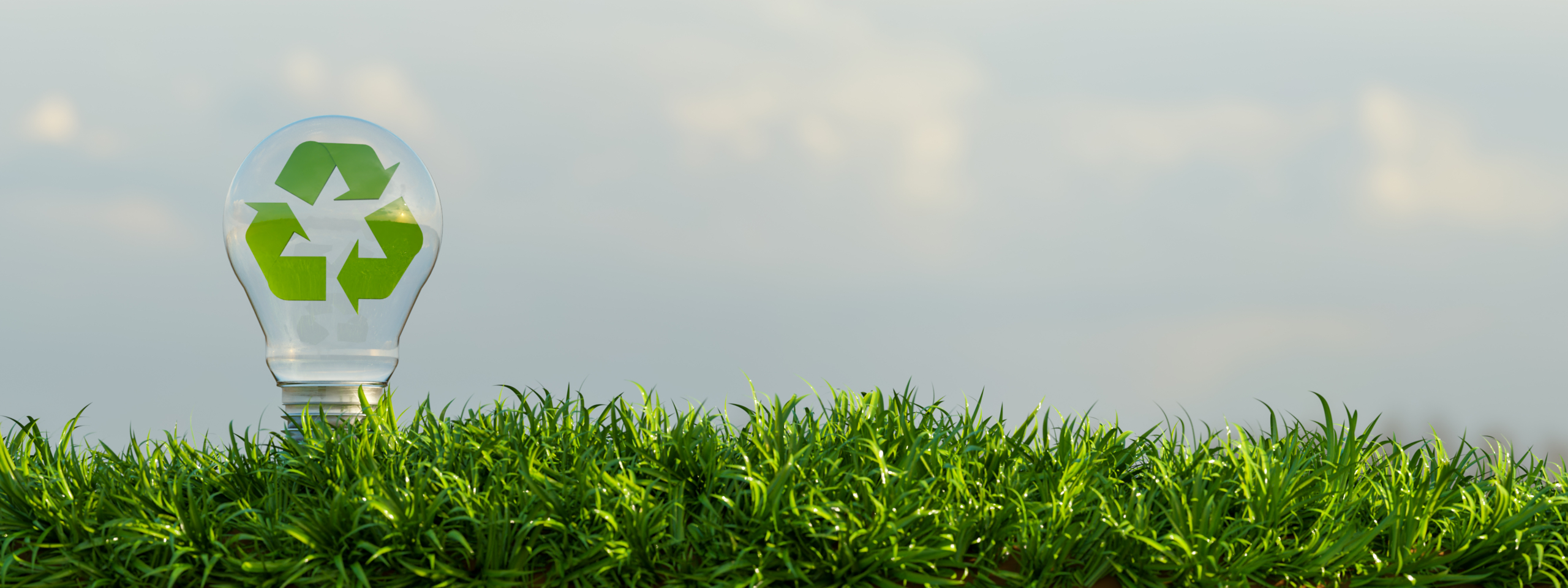 Circular Economy- author: Antonio Solano