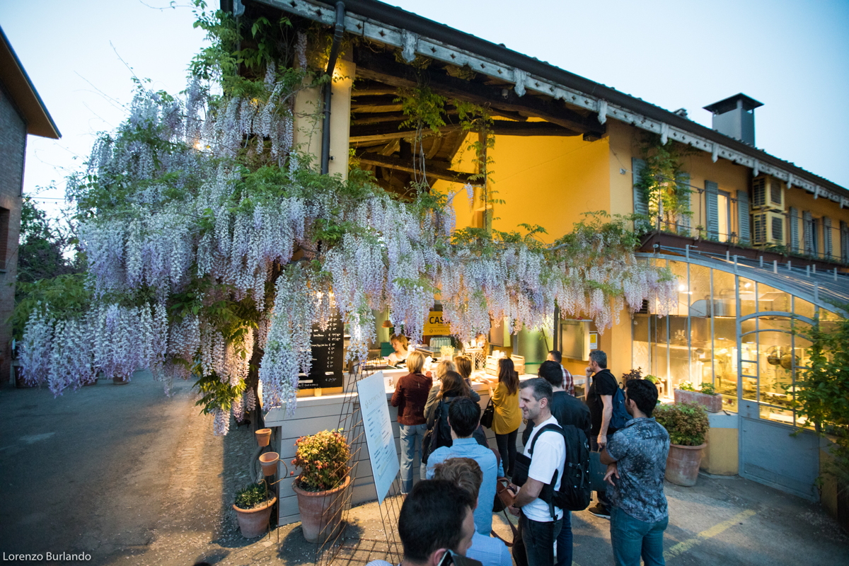 Kilowatt botanical bar