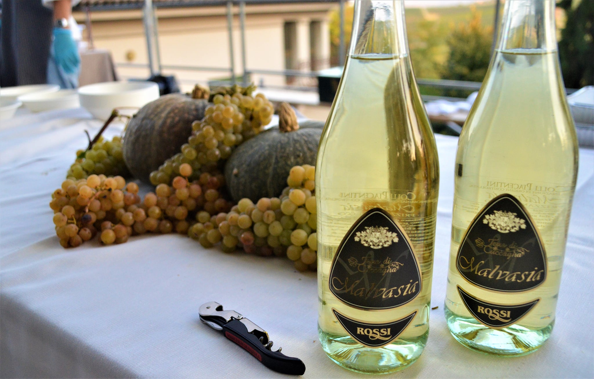 Wine Festival