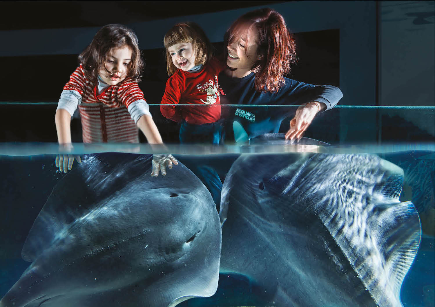 Acquario di Cattolica